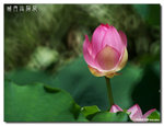 P1080460