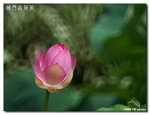 P1080461