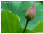 P1080494