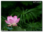 P1080520