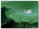 P1080525