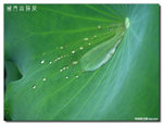 P1080531