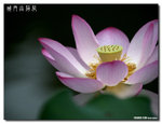 P1080536