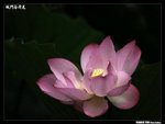 P1080541