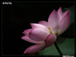 P1080545