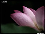 P1080551