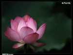 P1080554