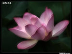P1080556