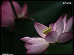 P1080561
