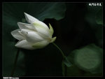 P1080571