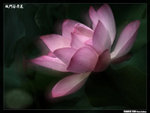 P1080573