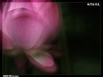 P1080575