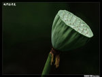 P1080585