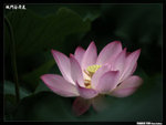 P1080586