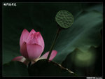 P1080587