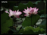 P1080588