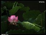 P1080592