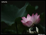 P1080593
