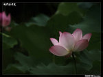 P1080596