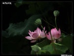 P1080597