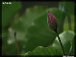 P1080600