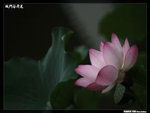 P1080602