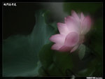 P1080603