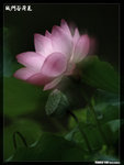 P1080605a