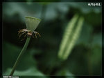 P1080608