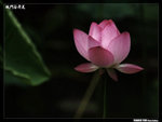 P1080609
