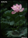 P1080613
