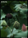 P1080614