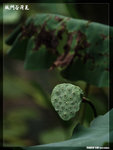 P1080615
