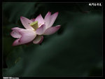 P1080617