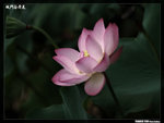 P1080619