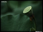 P1080620