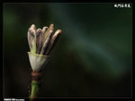P1080623