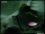 P1080625