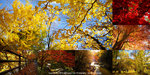 Combo_DSC01107