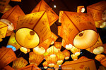 DSC04318