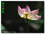 P1050015