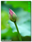 P1050021