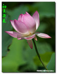 P1070440