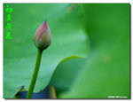 P1070468