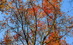 DSC_0462