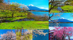 Cover_DSC04576