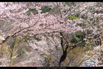 DSC04770