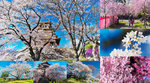 Cover_DSC04829