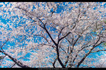 DSC04858