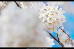 DSC04880